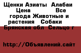 Щенки Азиаты (Алабаи) › Цена ­ 20 000 - Все города Животные и растения » Собаки   . Брянская обл.,Сельцо г.